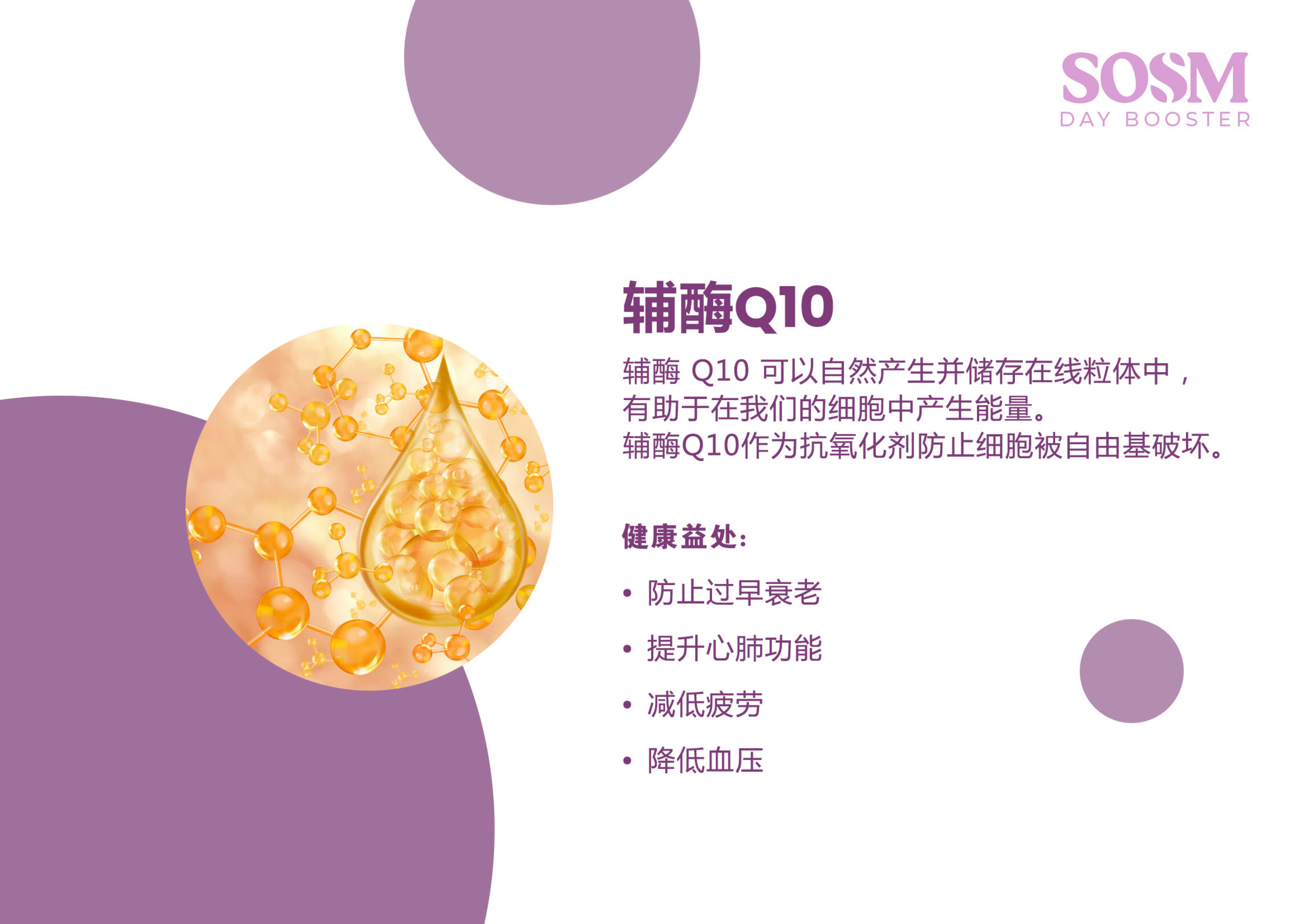 SOMS Day Booster  - ingredients - CoQ10