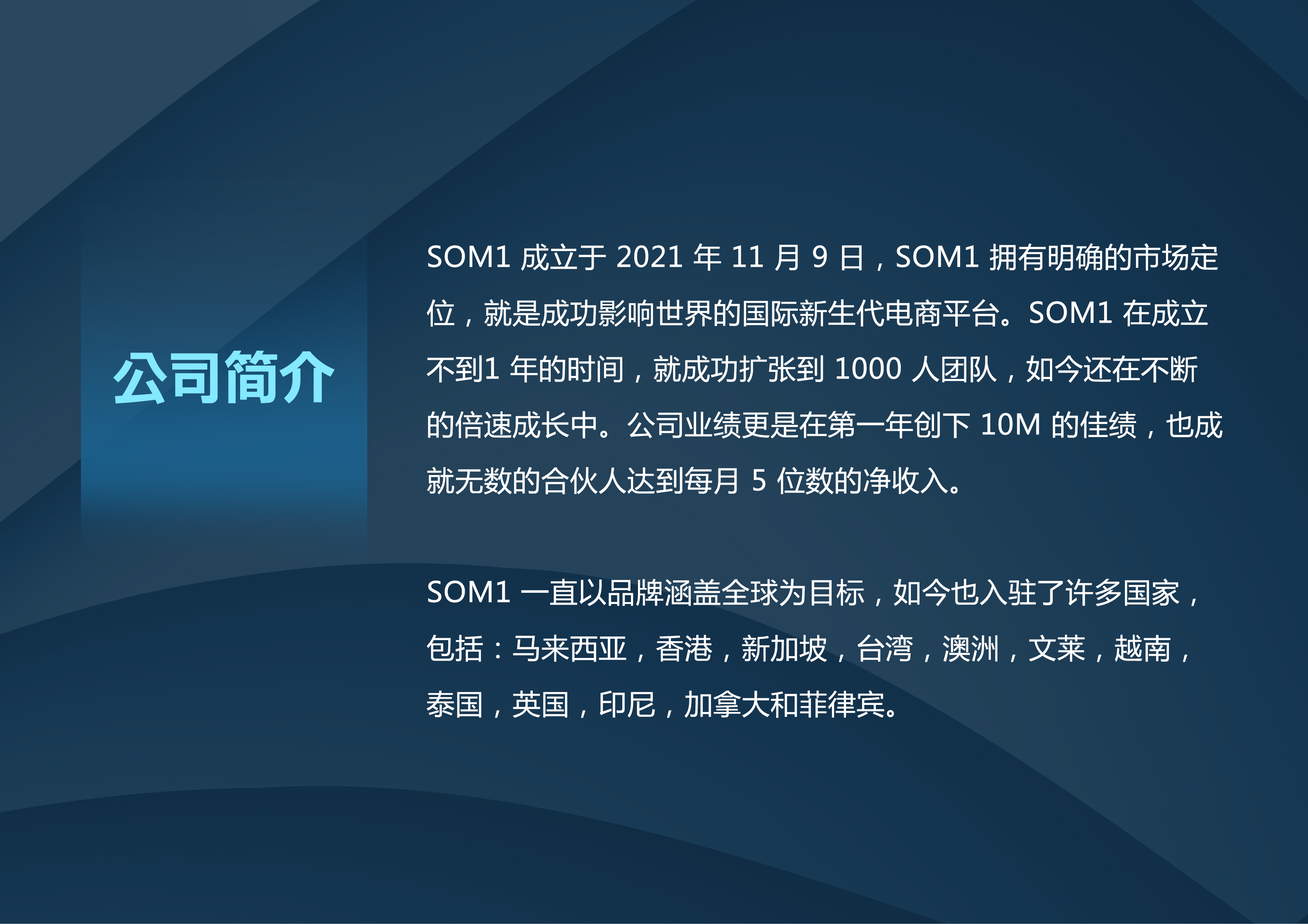 SOM1_COMPANY_BACKGROUND