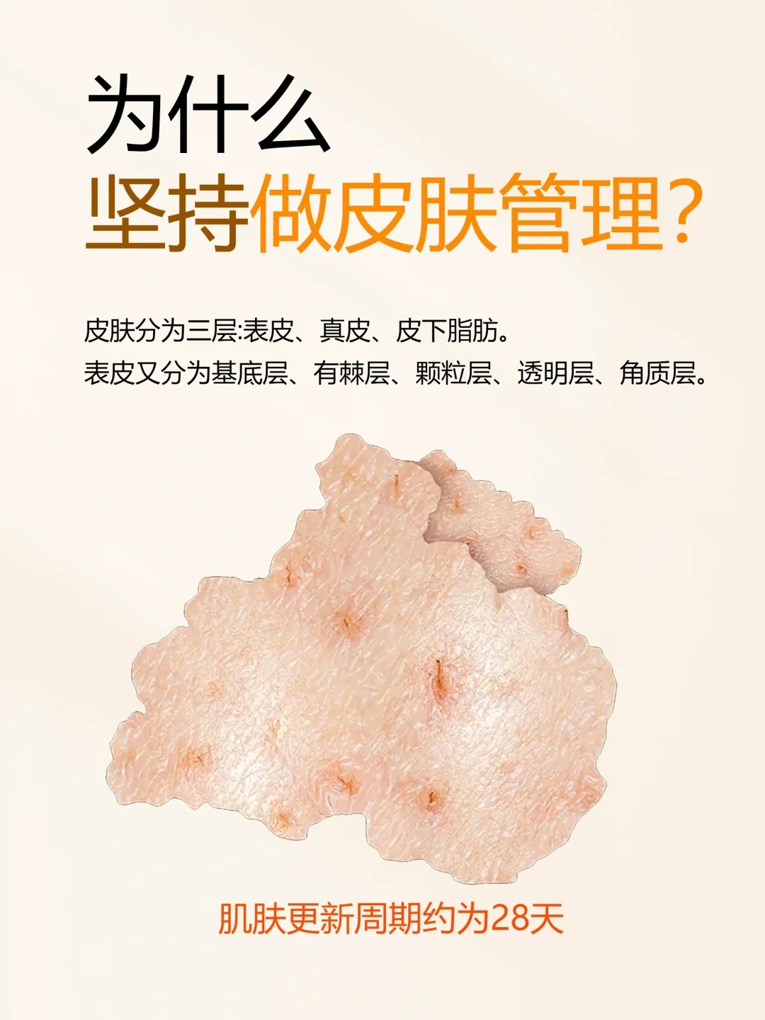 坚持护肤｜为什么定期做皮肤管理❓一篇秒懂‼️_1_木槿花课堂_来自小红书网页版