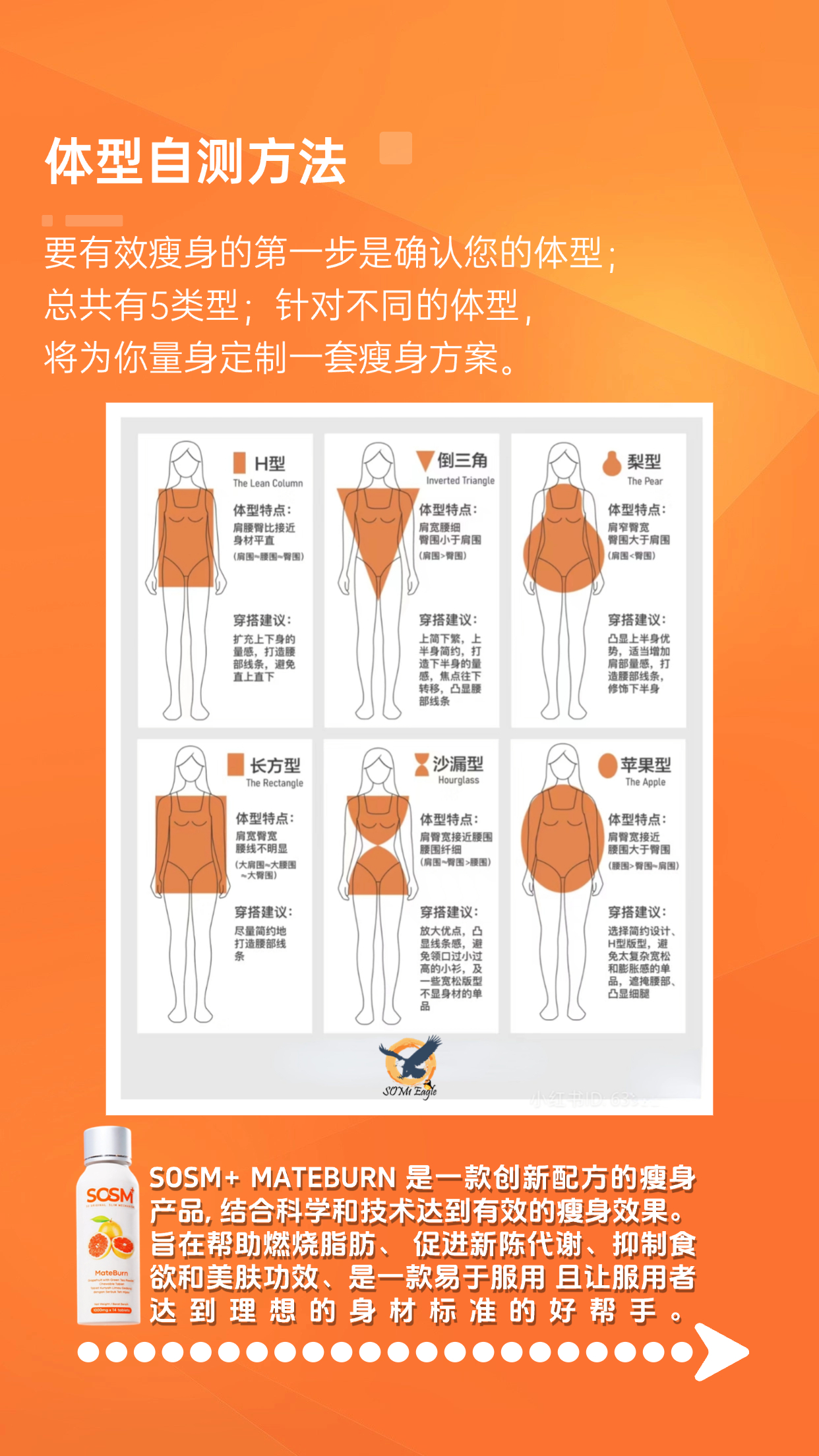 多元体型插画