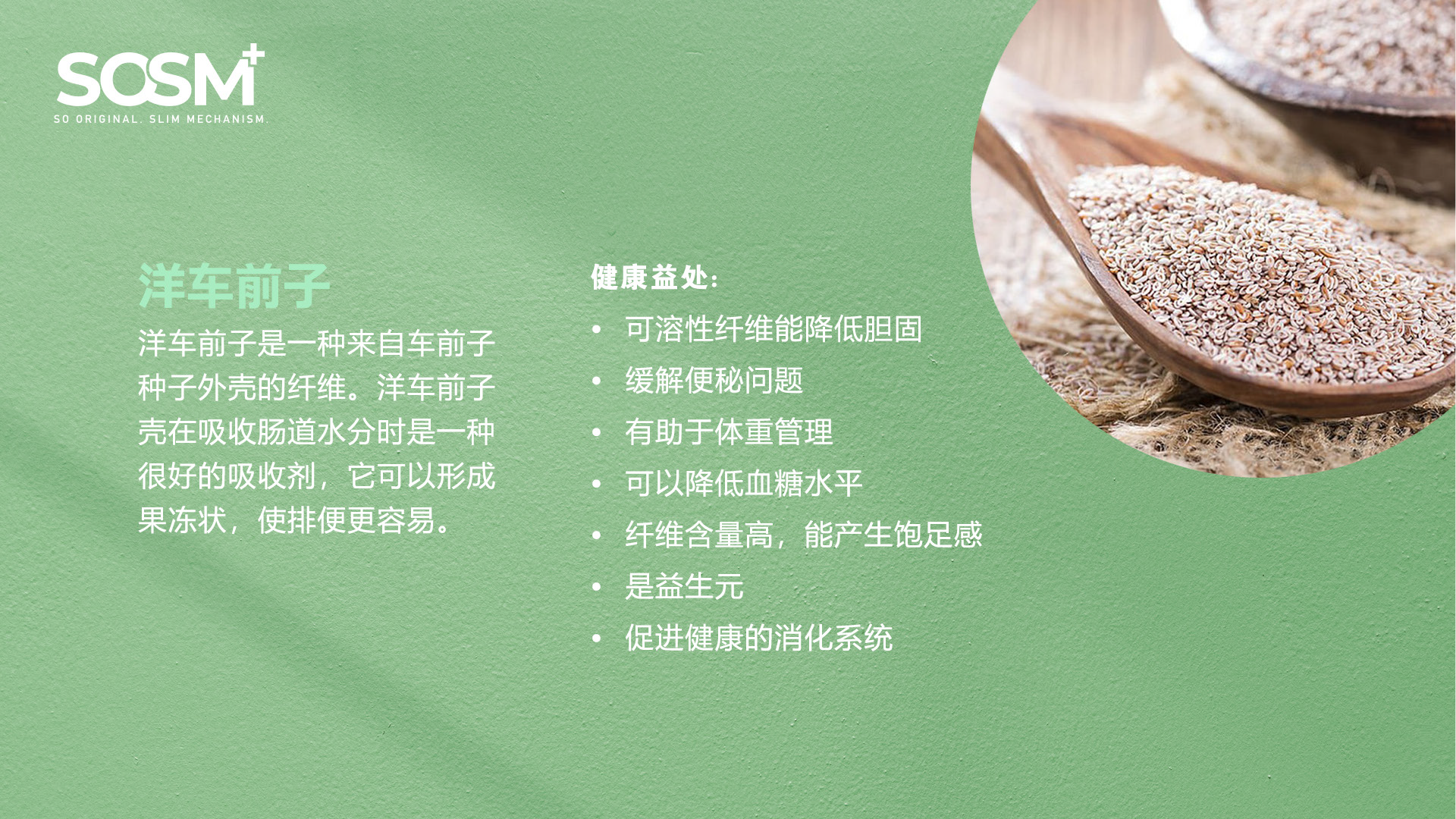 SOSM+ Night Booster 核心有效成分4: 洋车前子(Psyllium Husk)