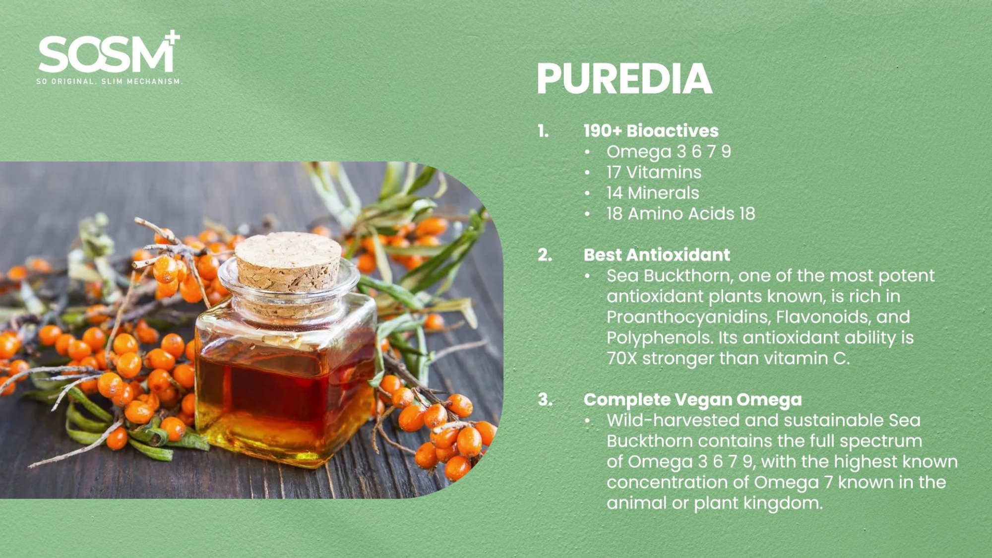 SOSM+ Night Booster / SOSM+ Night Booster Extreme - PUREDIA