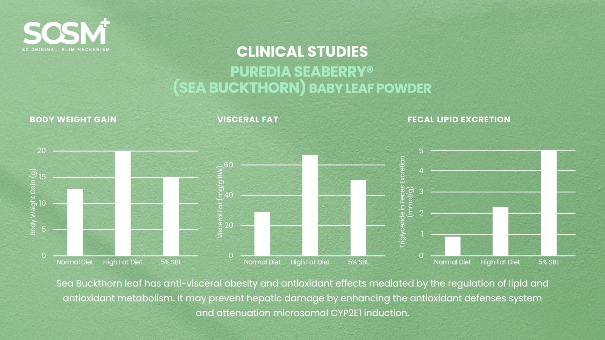CLINICAL STUDIES PUREDIA SEABERRY® (SEA BUCKTHORN) BABY LEAF POWDER - Graphs for Body Weight, Visceral Fat, Fecal Lipid Excretion