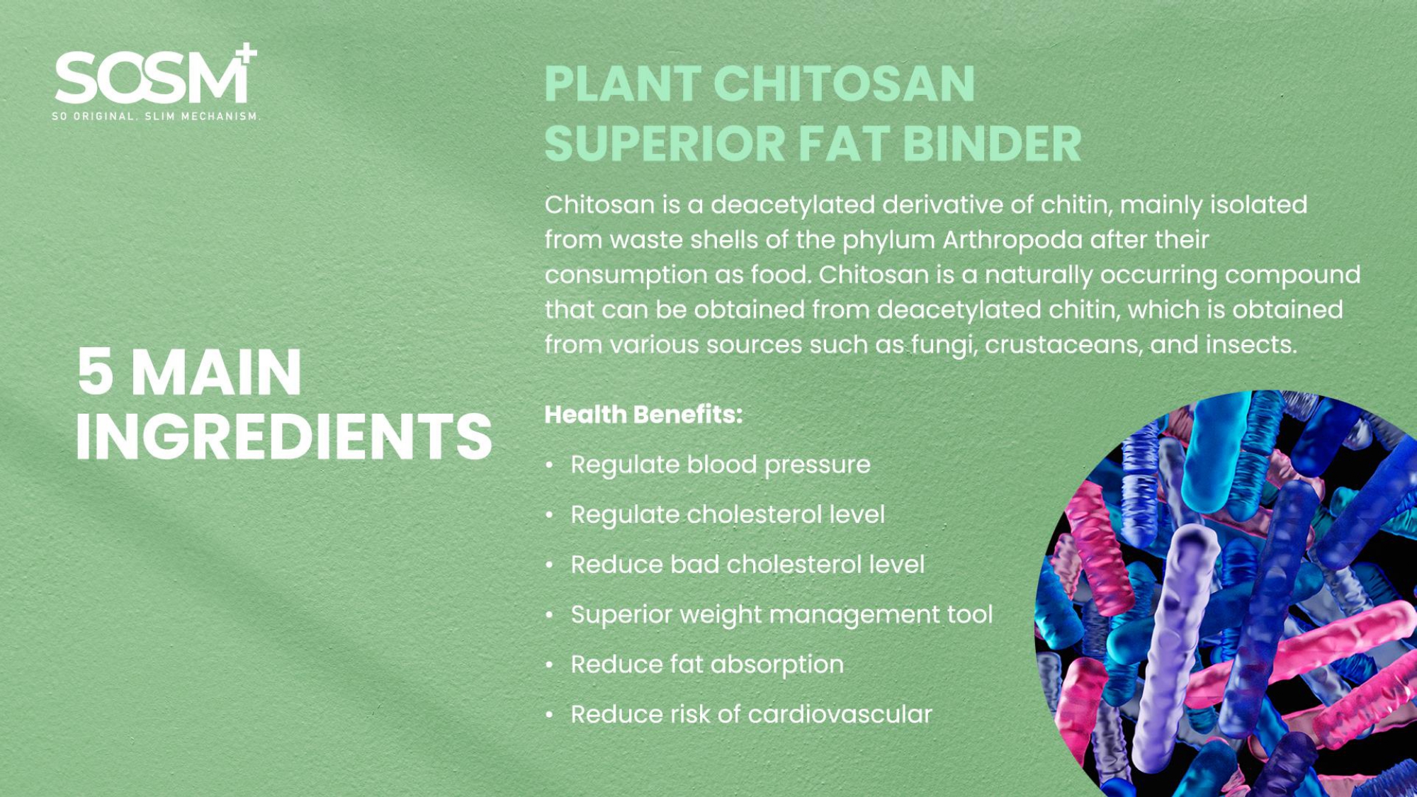 Plant Chitosan