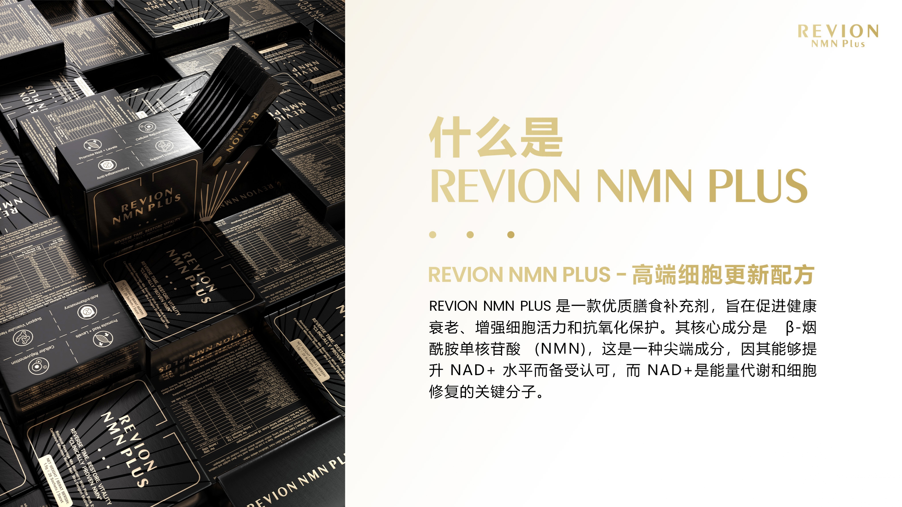 REVION NMN PLUS产品展示