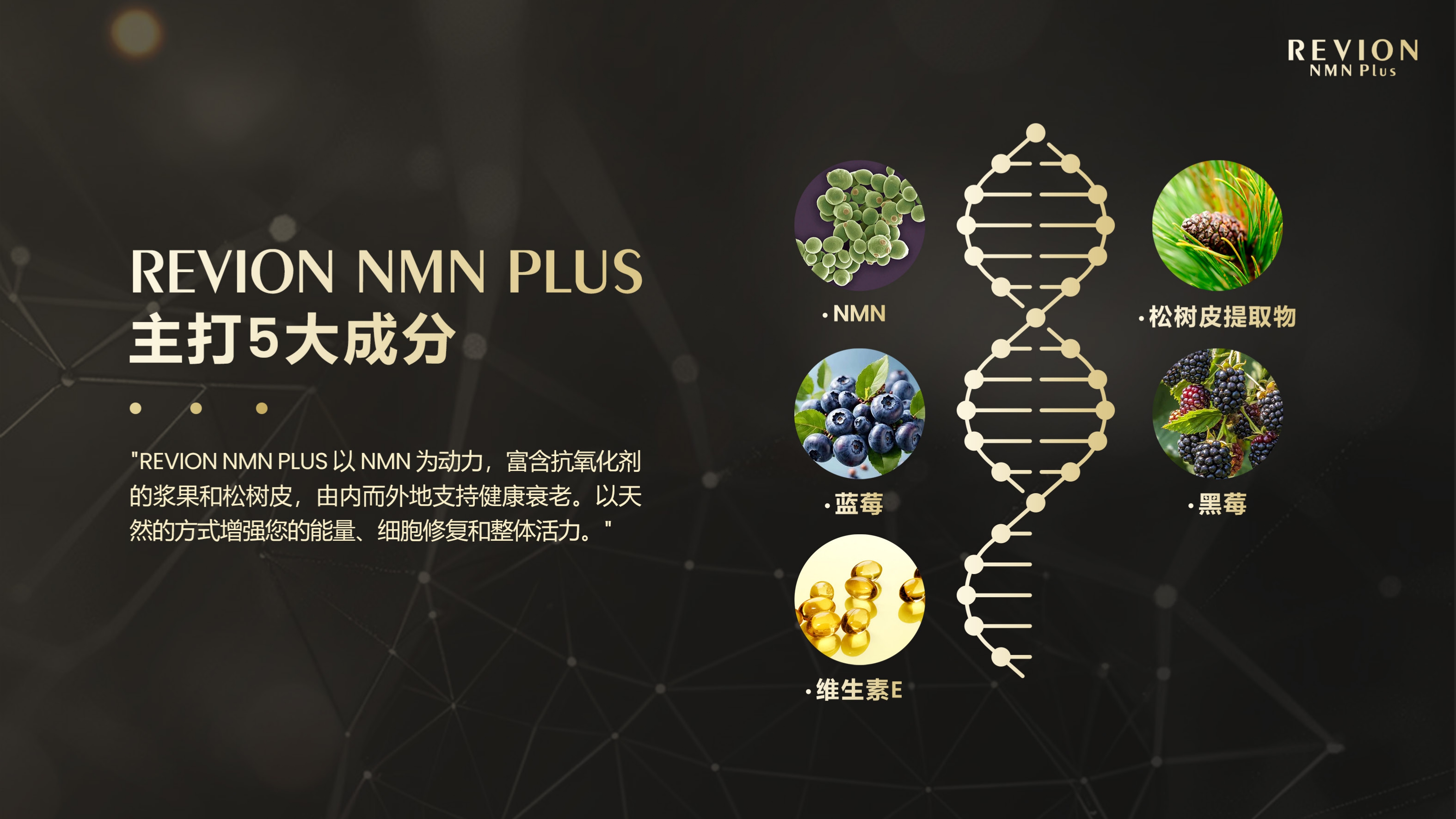 REVION NMN PLUS产品展示