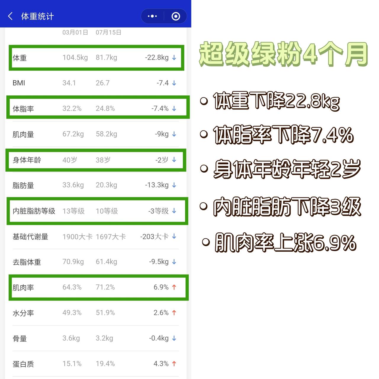 eimele shine greens - products effectiveness