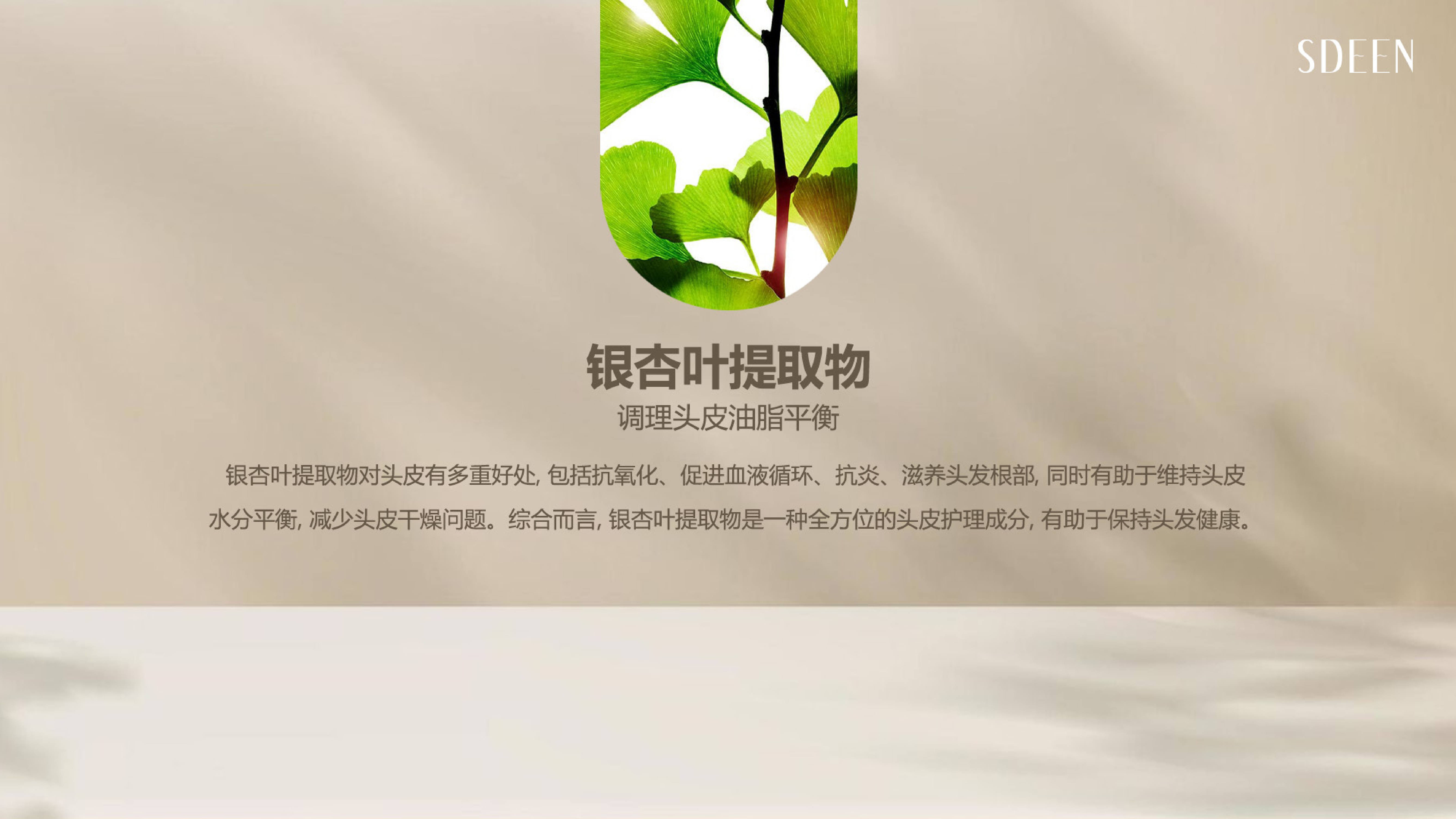 银杏叶提取物 调理头皮油脂平衡 抗氧化 头皮护理