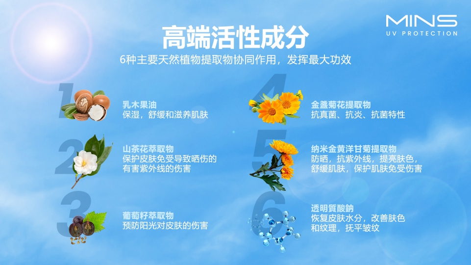 6种天然植物提取物协同作用成分展示图