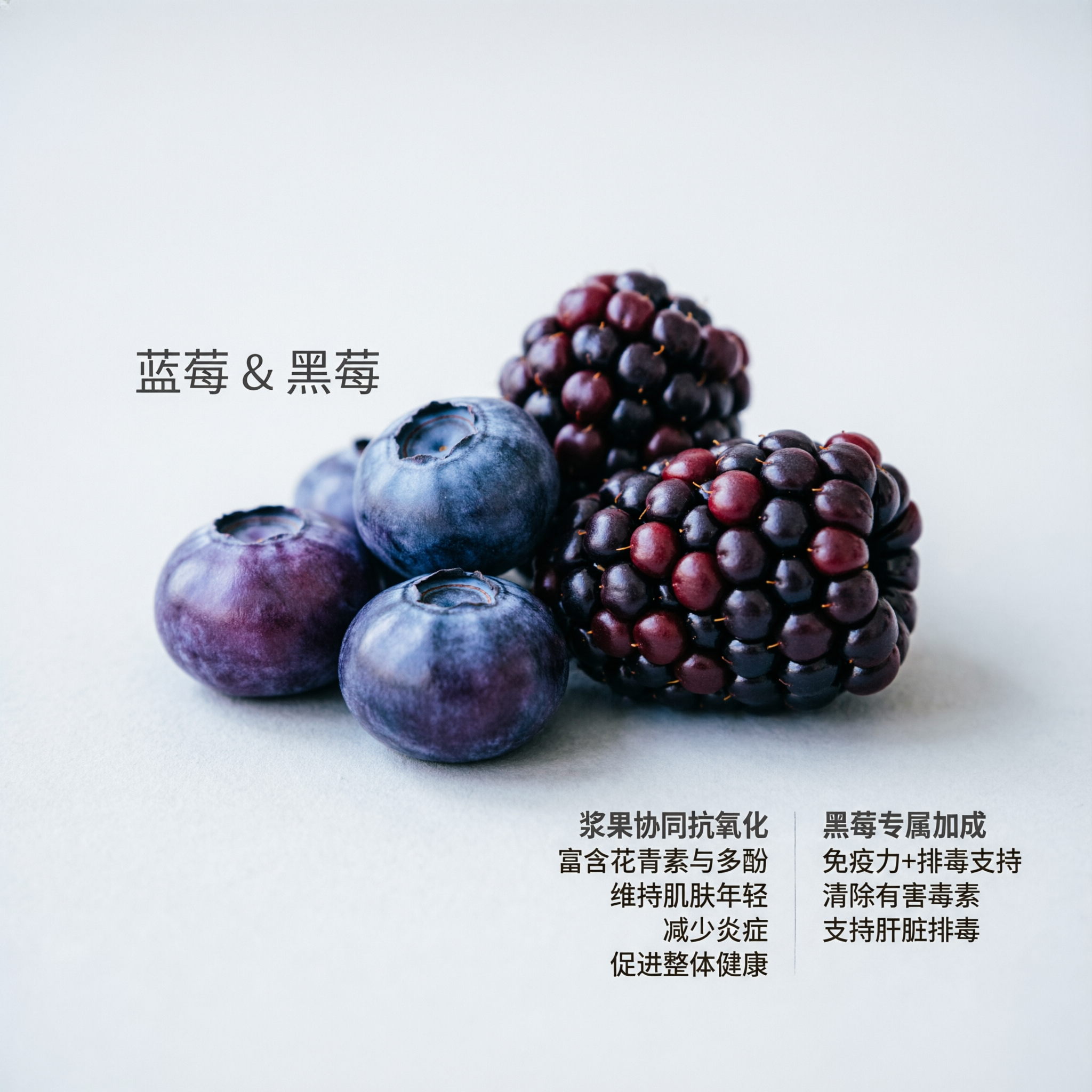 蓝莓与黑莓 浆果协同抗氧化