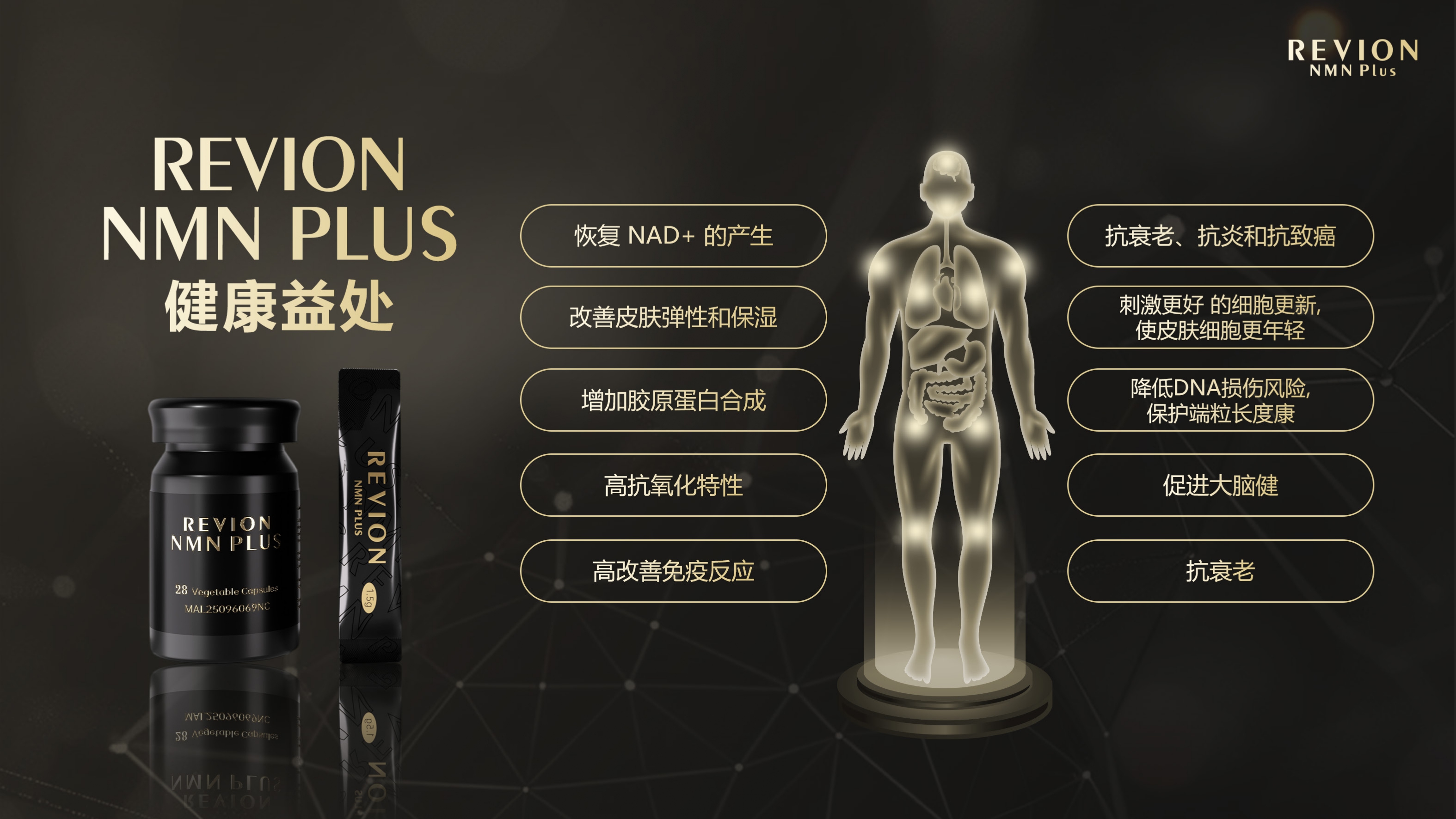 蓝莓黑莓协同抗氧化与健康生活方式