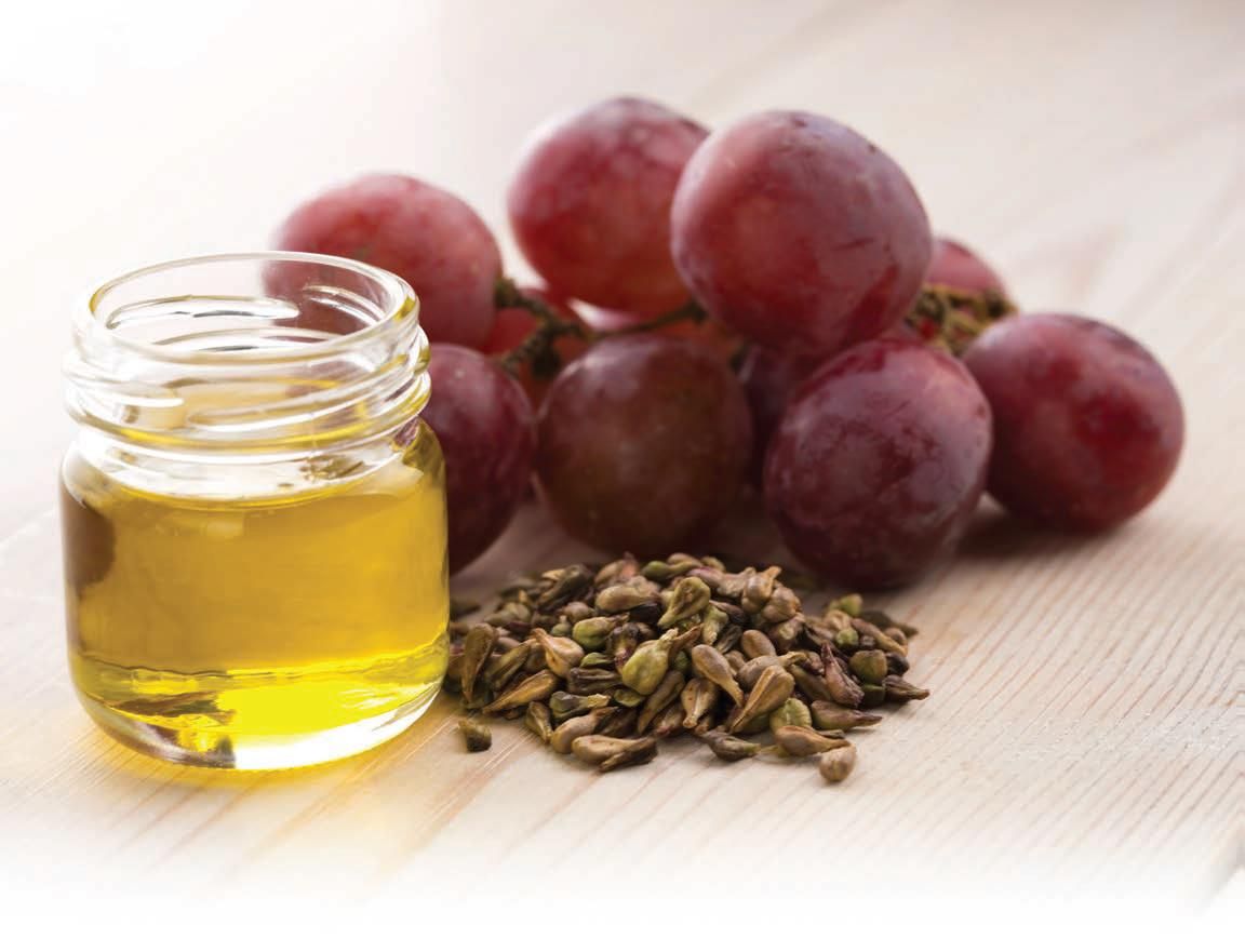 French Grape Seed Extract - Powerful Antioxidant