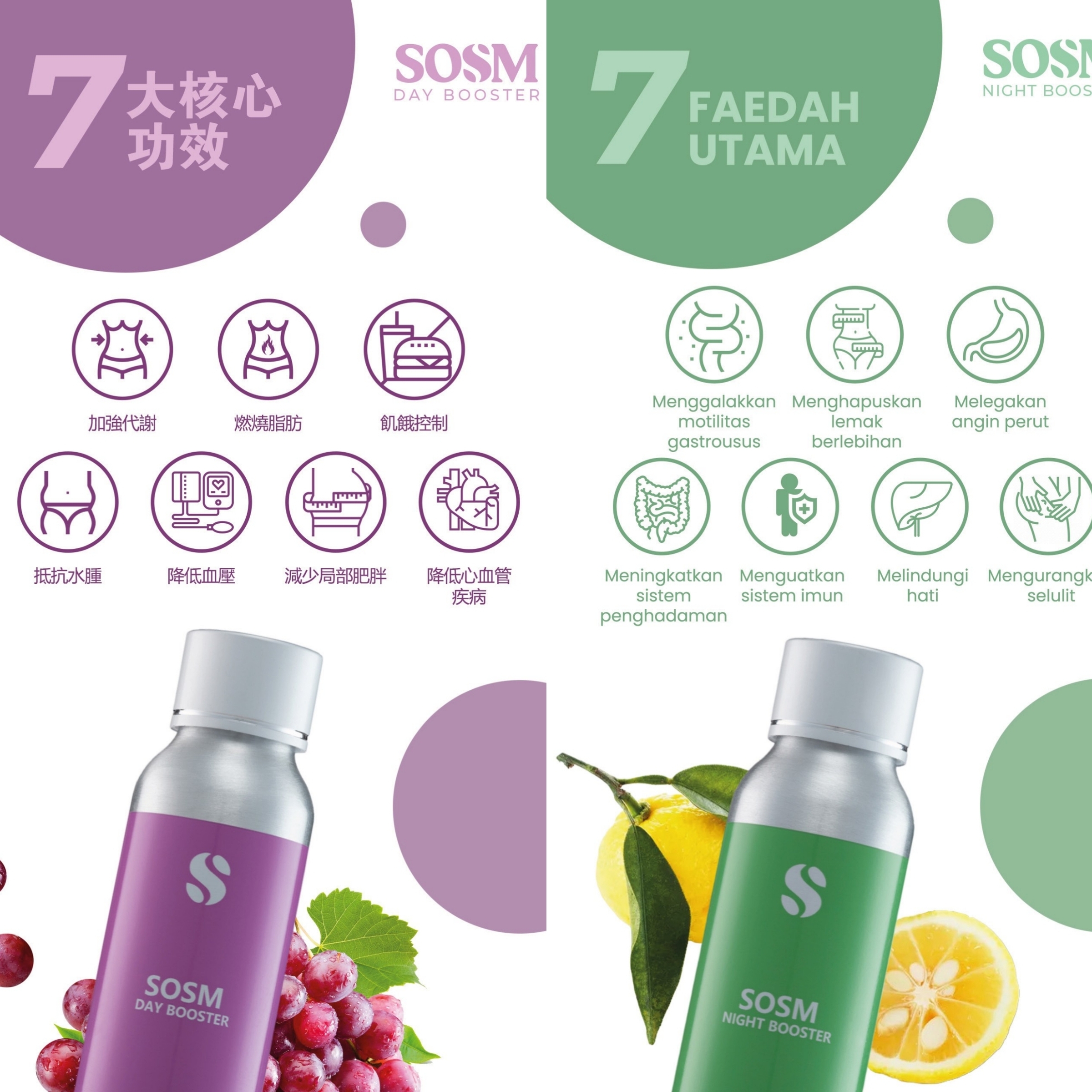 SOSM_Day_Night_Booster_functions_shopee