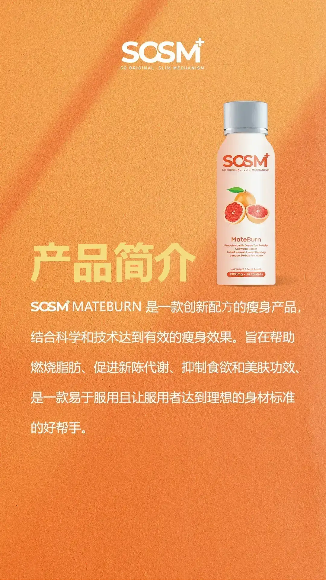 SOSM+ Mateburn - Introduction Portrait