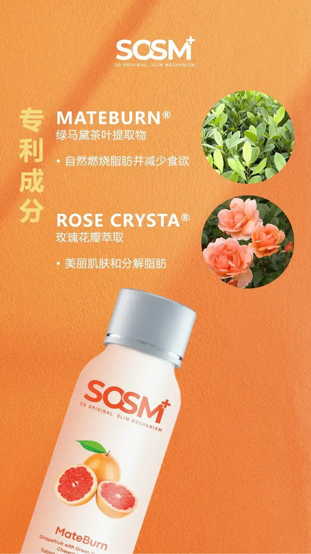SOSM+ Mateburn - ingredients Portrait
