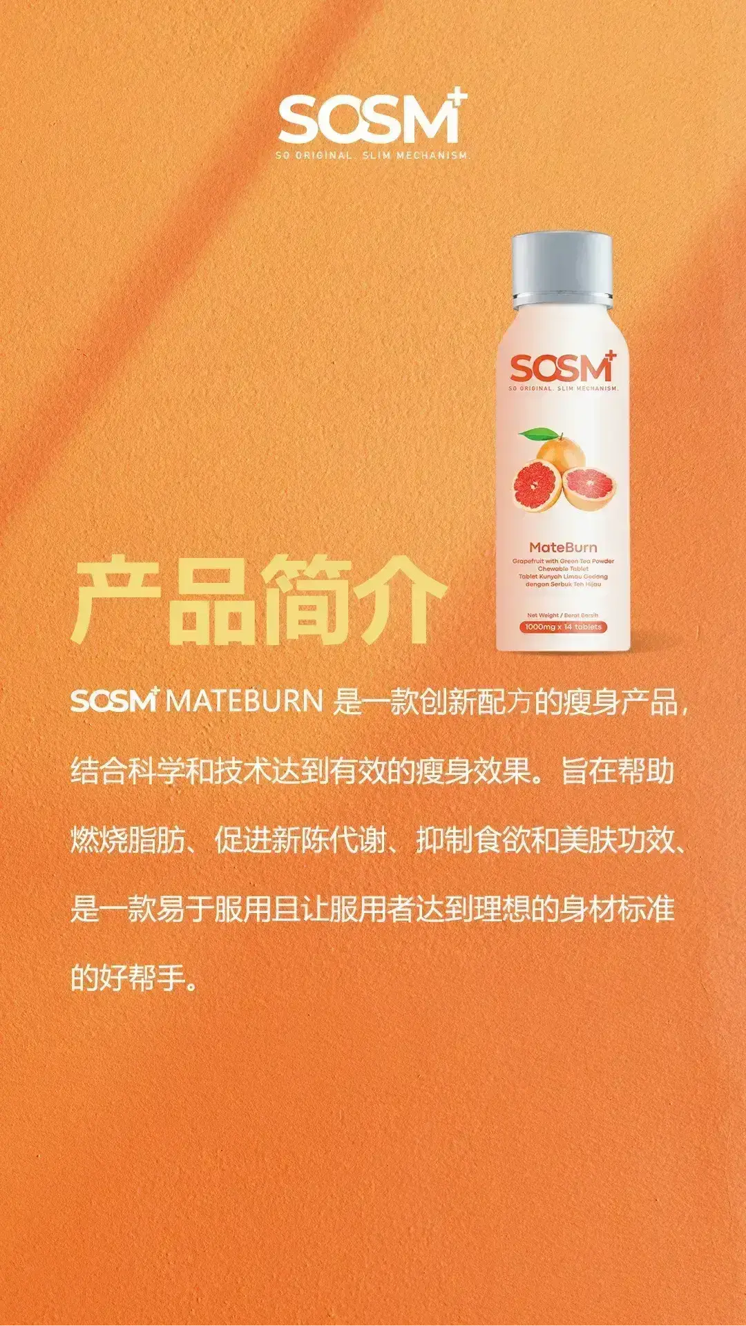 SOSM+ Mateburn - Introduction Portrait