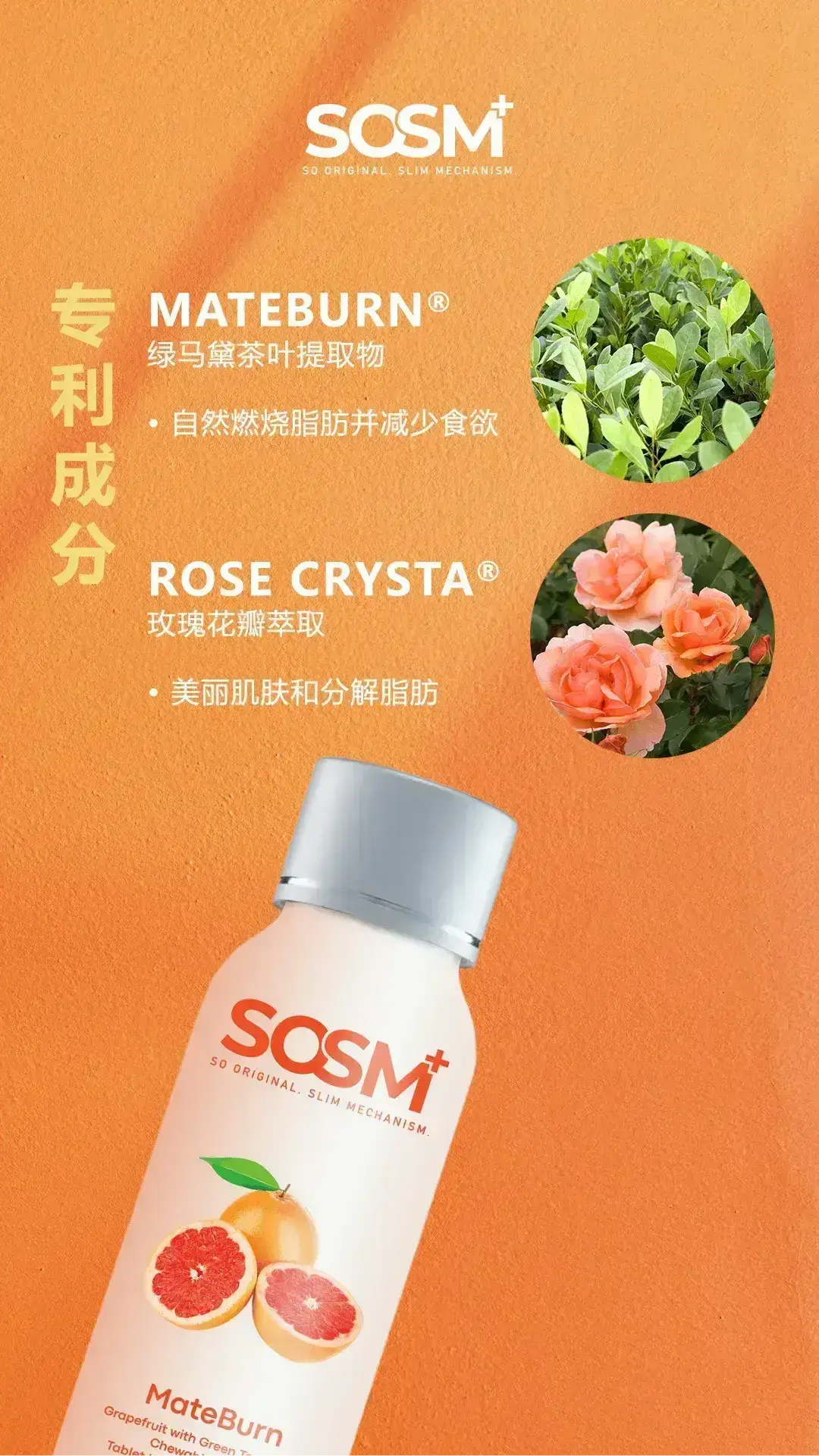SOSM+ Mateburn - ingredients Portrait