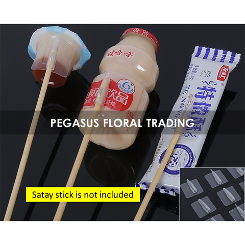 Slide5