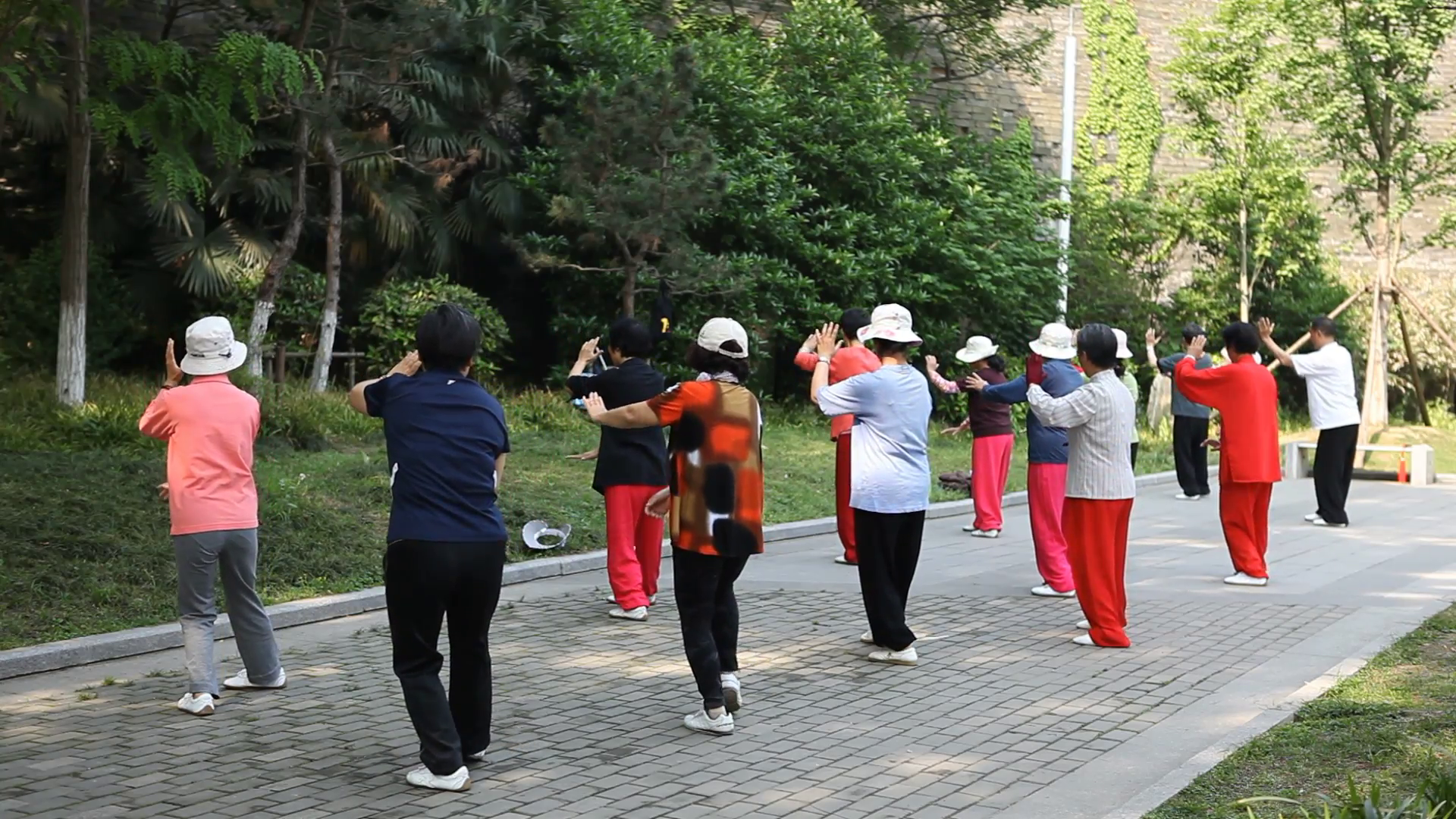 taiji-fitness-daily-chinese-tai-chi-exercise-nanjing-park-senior-people-practice-editorial-footage-news-documentary_4pu9pyzsg__F0000.png