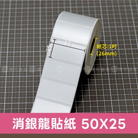 50X25 01
