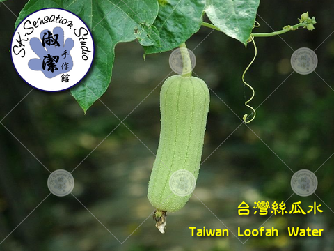 Taiwan Loofah Water-1-01.png