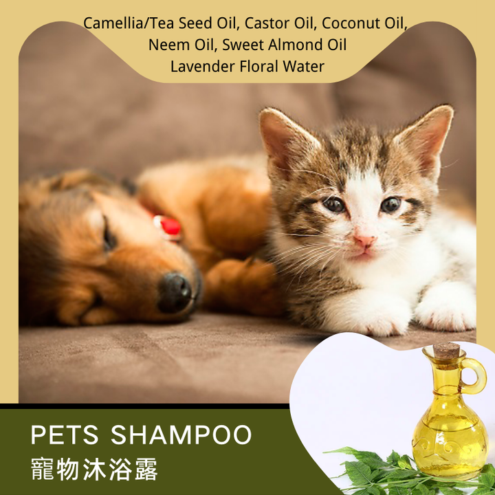 Product Profiling Poster-Pets Shampoo.png