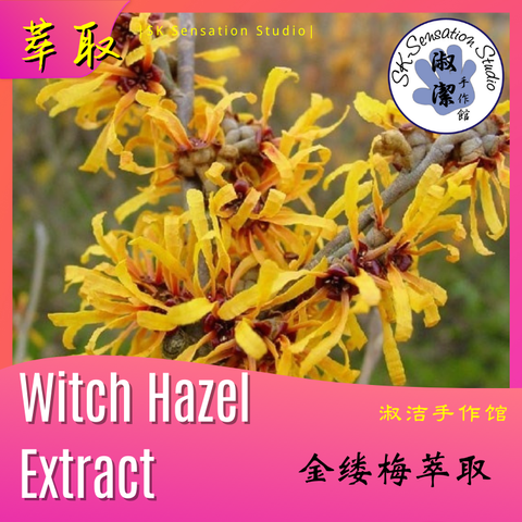 Witch hazel extract.png