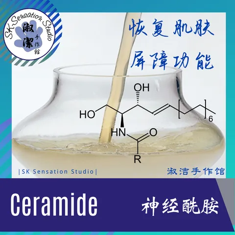 Ceramide.png