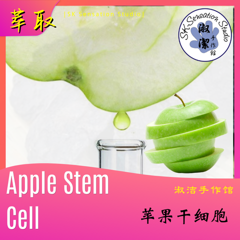 Apple Stem Cell.png