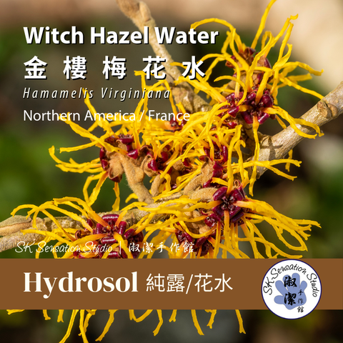 Witch Hazel Water