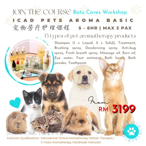 Pets Aroma Basic (Workshop)