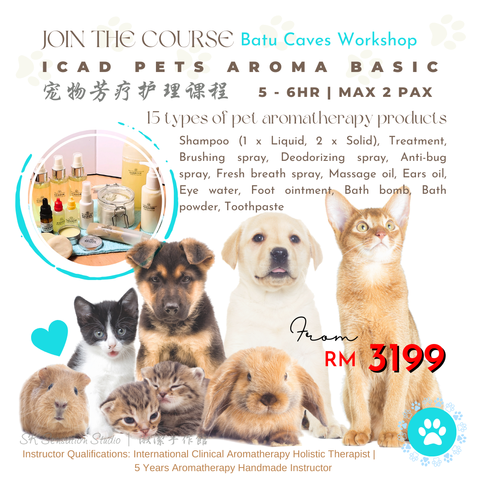 Pets Aroma Basic (Workshop)