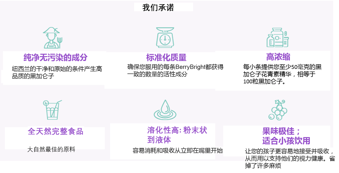 Our Promise-CN.png