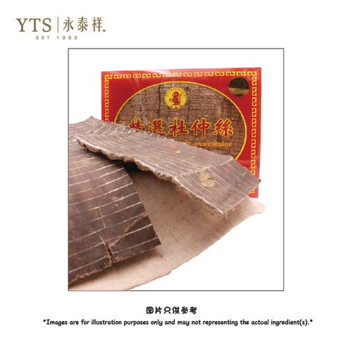 杜仲特厚 1-01.jpg