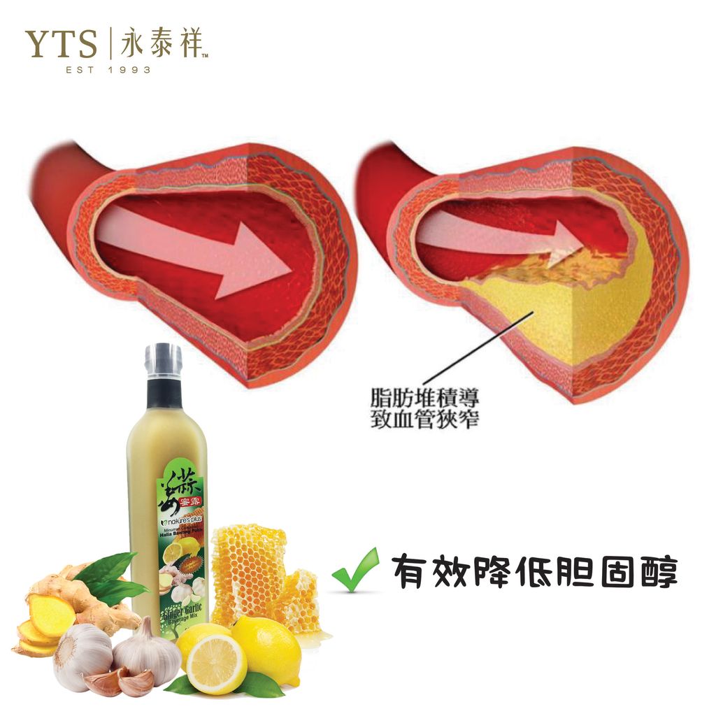 胆固醇-01.jpg