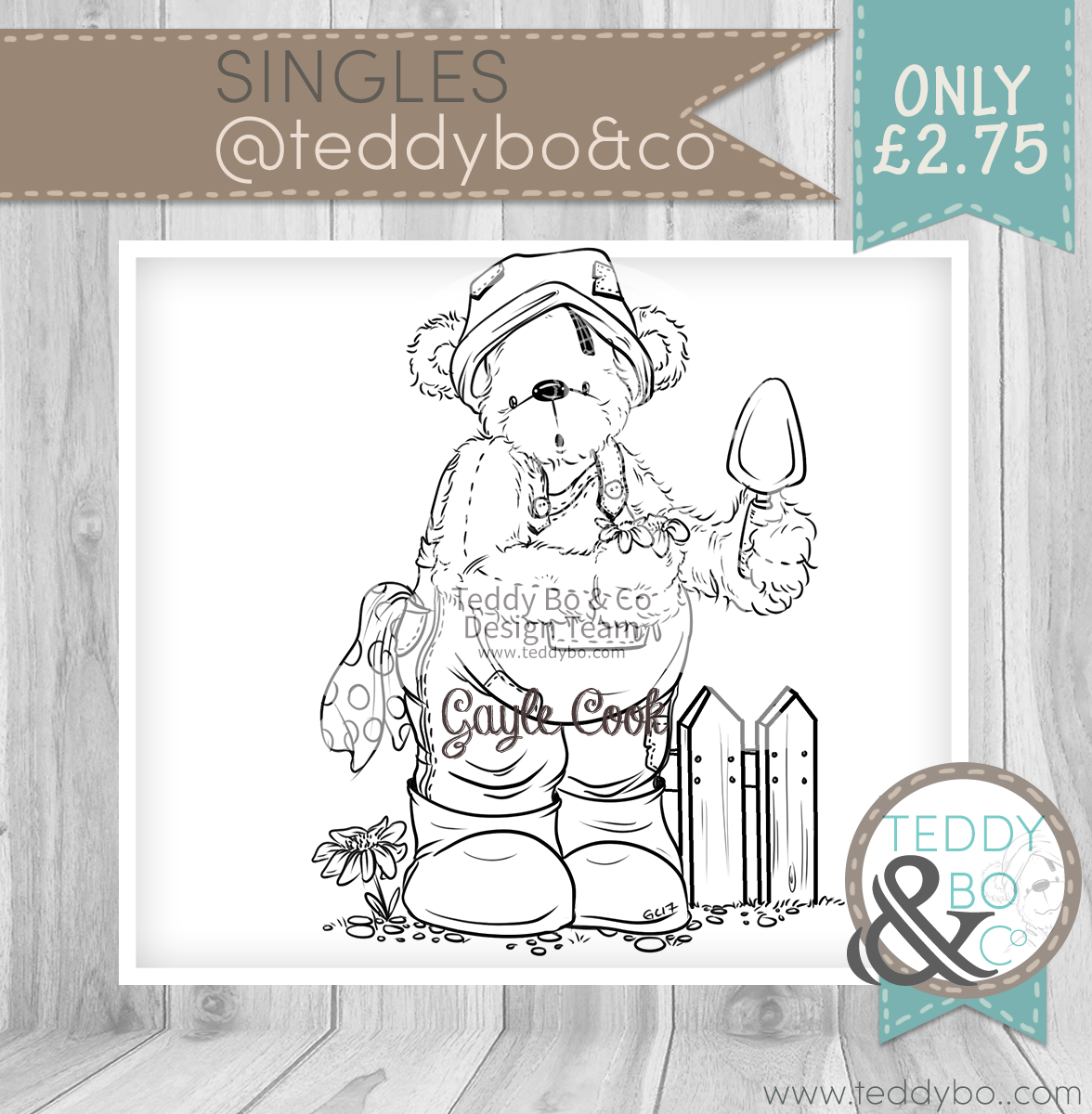 TEDDYBO_024_02.jpg