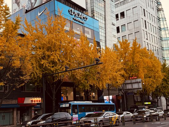 𝟔𝟏𝟖優惠 | LITTLE LONDON .CHEN CHEN KOREA 