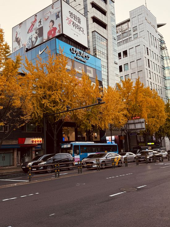 𝟔𝟏𝟖優惠 | LITTLE LONDON .CHEN CHEN KOREA 
