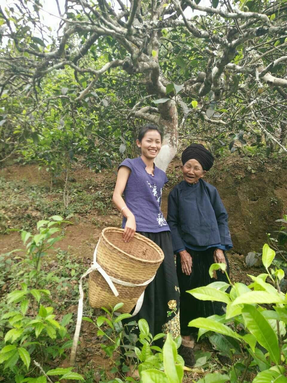茶不僅是飲品，更是生活。 | 藝寶堂︱莫莫吾茗