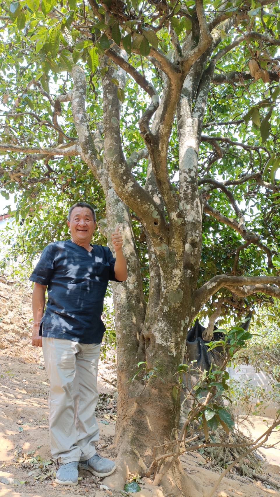 茶不僅是飲品，更是生活。 | 藝寶堂︱莫莫吾茗