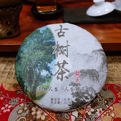 2018勐庫忙波古樹01.jpg