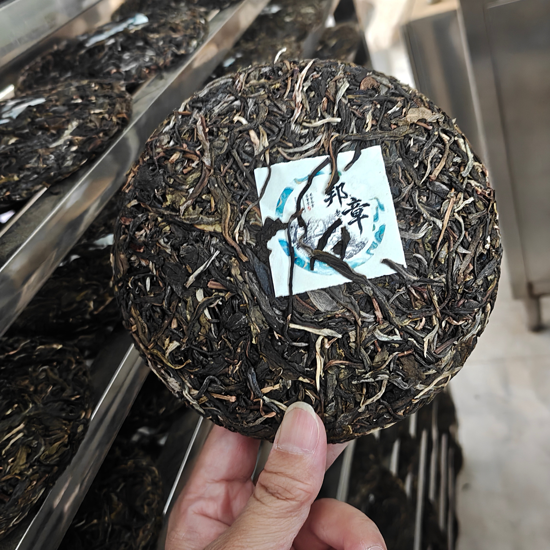 2024年勐庫邦章老樹茶-1