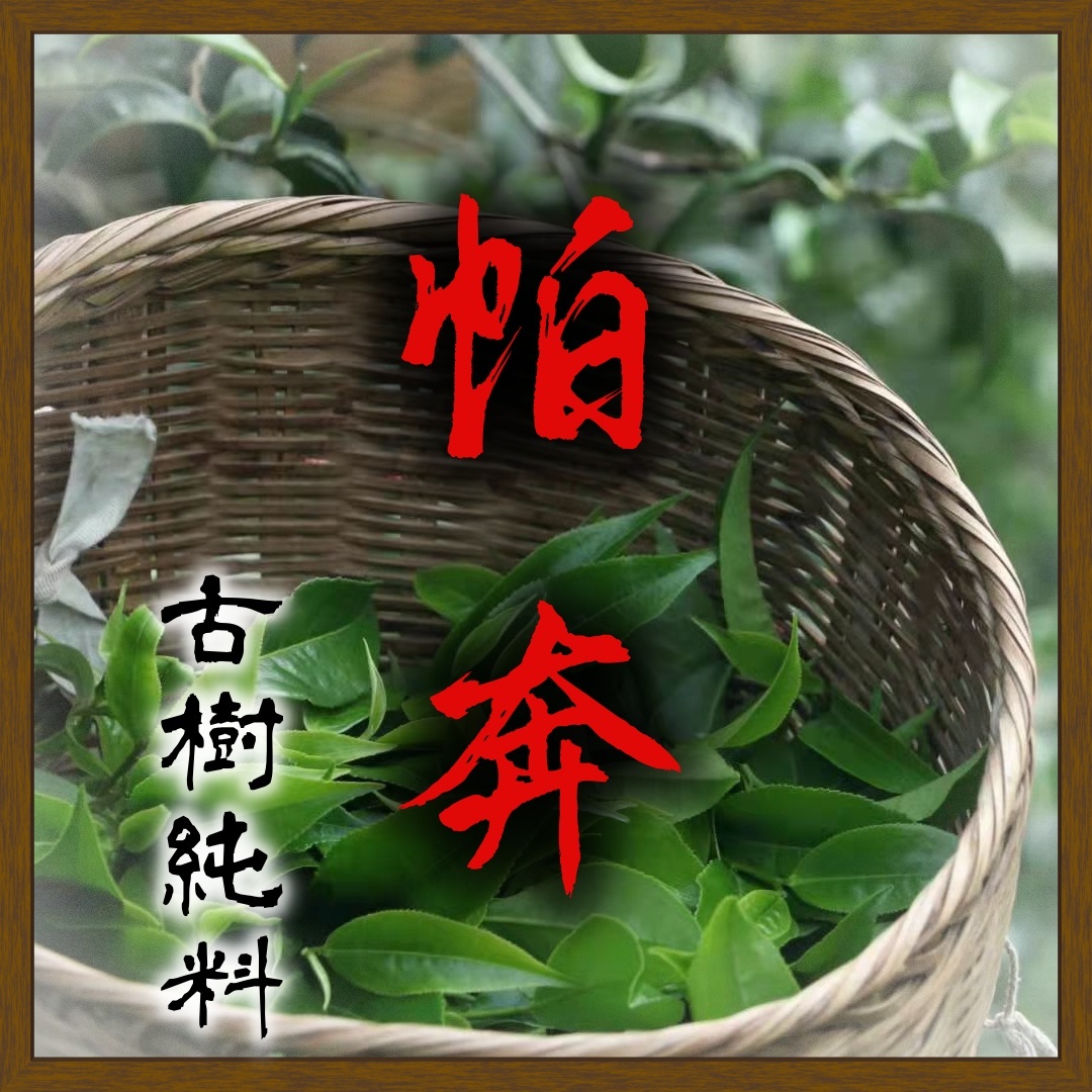 (預售)2025帕奔古樹200g