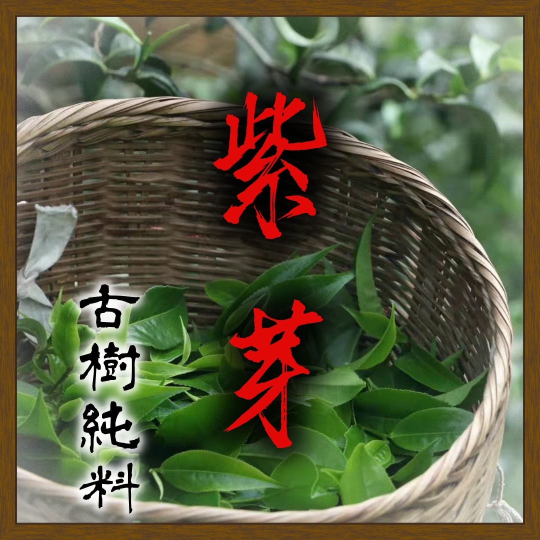 (預售)2026紫芽古樹200g
