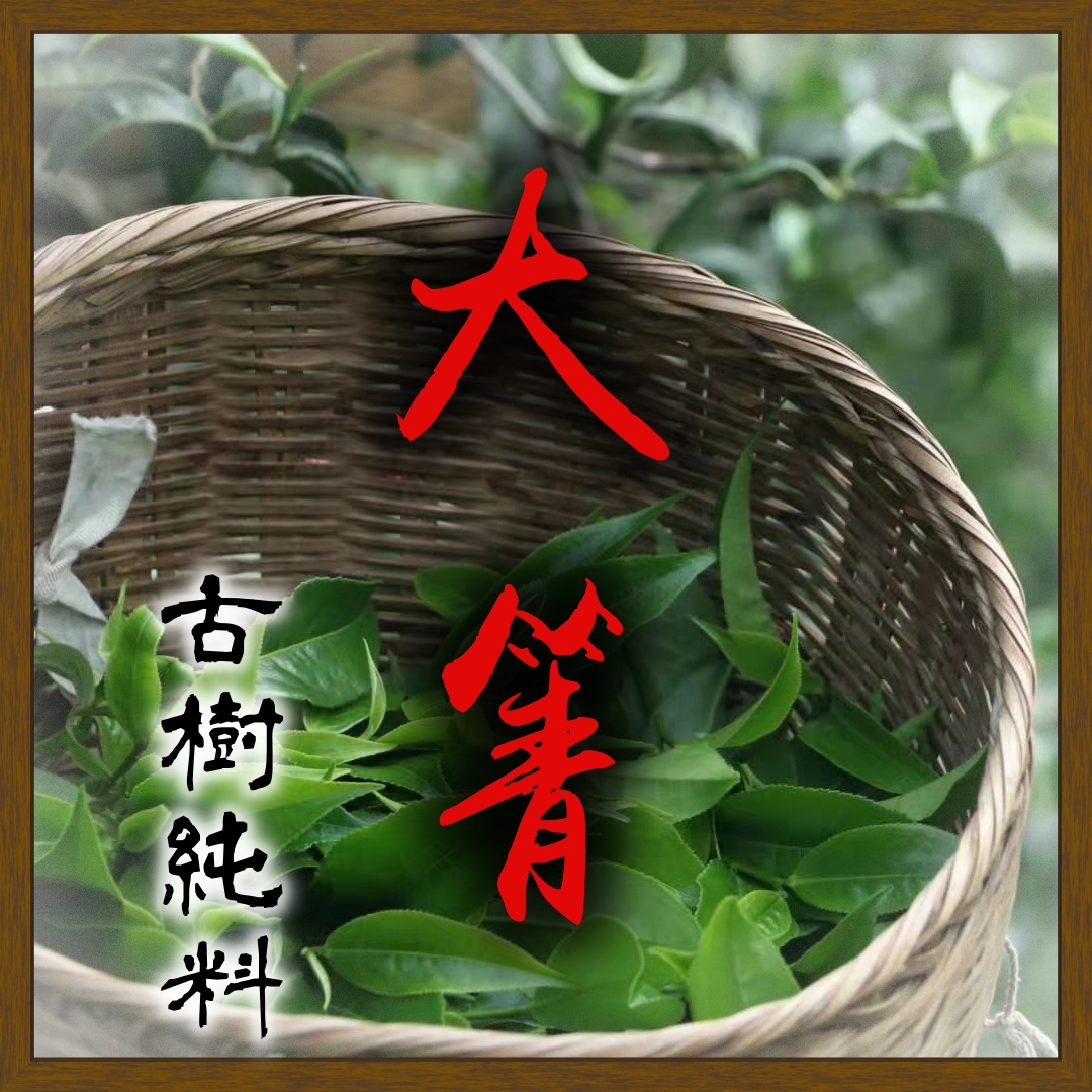(預售)2026曼崗大箐古樹200g