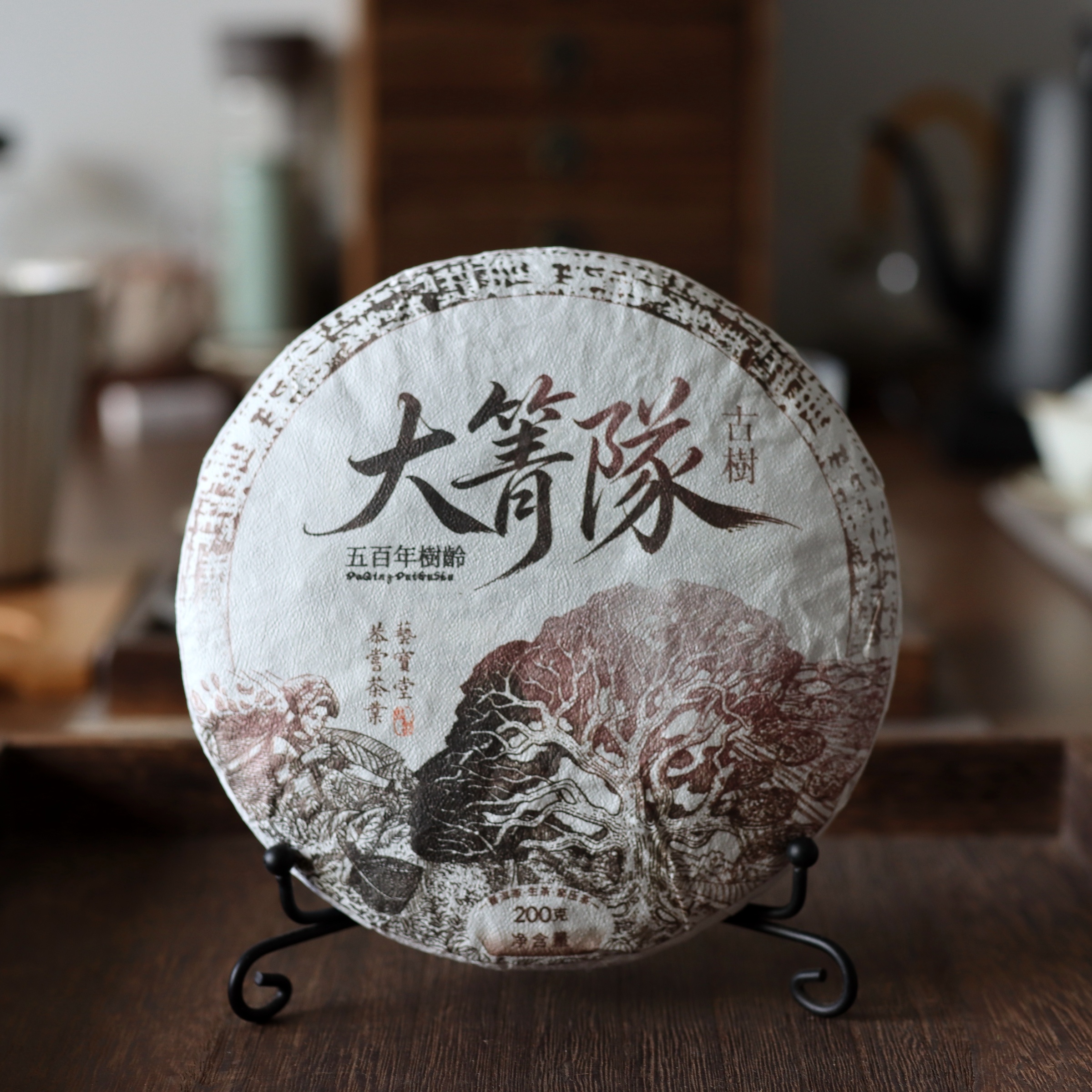 2026年曼崗大箐隊古樹-1