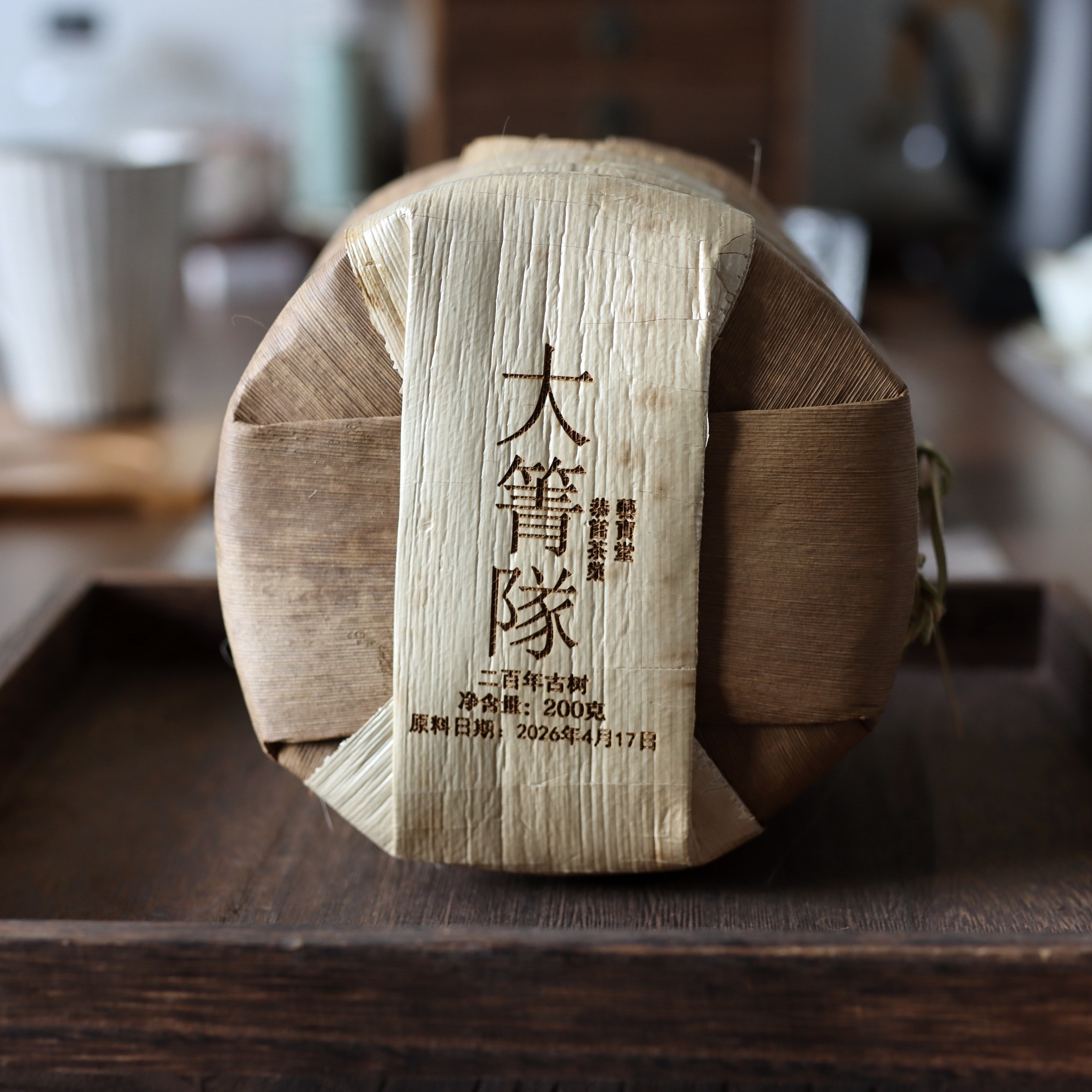 2026年曼崗大箐隊古樹-3