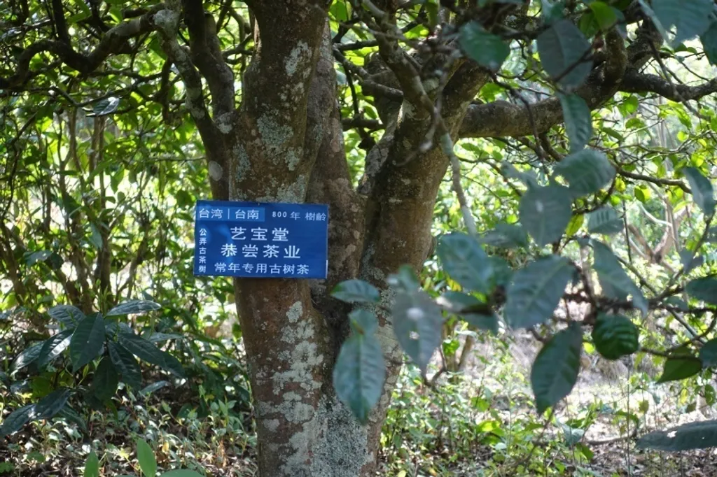 10366414