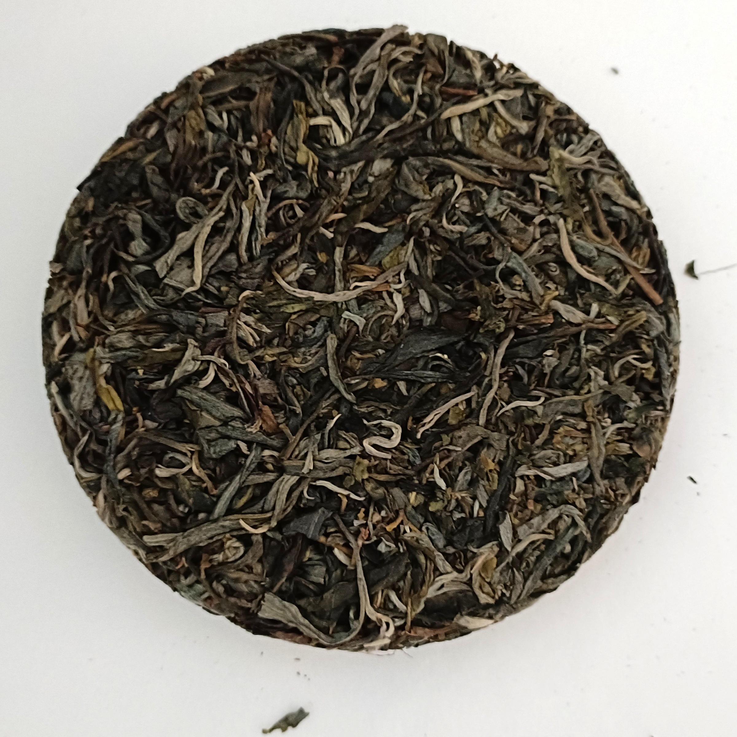 2023年姥姥的茶公弄古樹純料-4