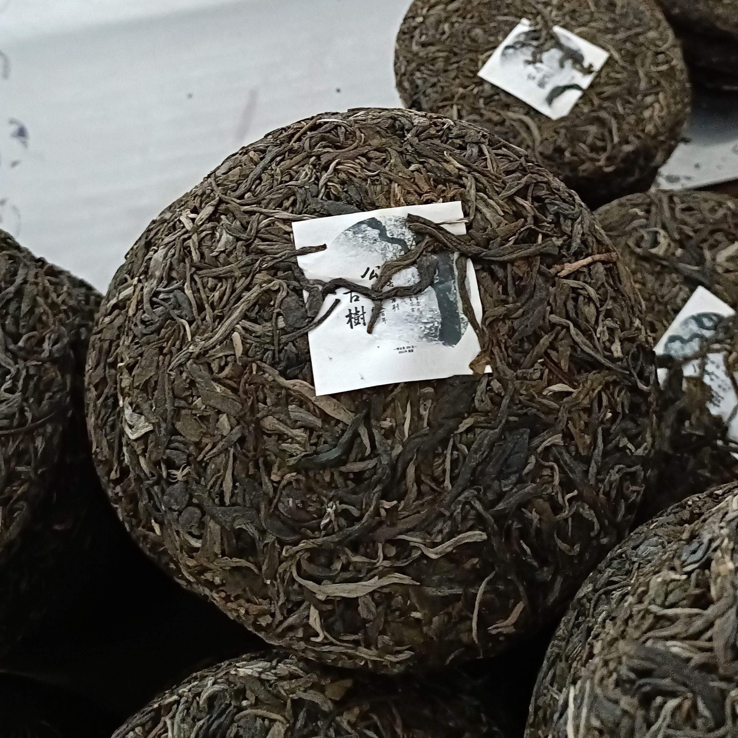 2023年姥姥的茶公弄古樹純料-2